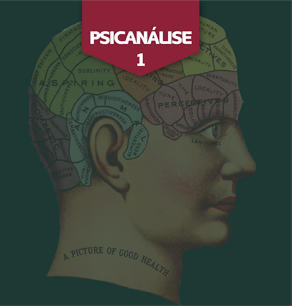 Psicanálise 1
